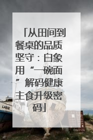 从田间到餐桌的品质坚守：白象用“一碗面”解码健康主食升级密码