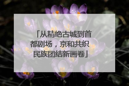 从精绝古城到首都剧场，京和共织民族团结新画卷