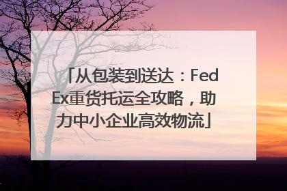 从包装到送达：FedEx重货托运全攻略，助力中小企业高效物流