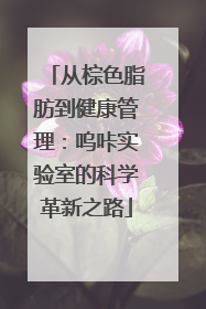 从棕色脂肪到健康管理：呜咔实验室的科学革新之路