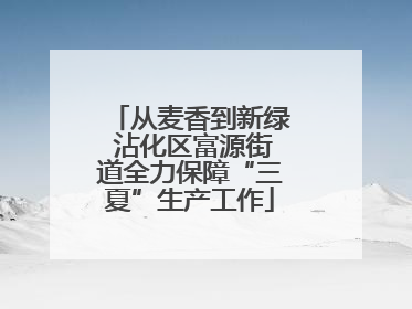 从麦香到新绿 沾化区富源街道全力保障“三夏”生产工作