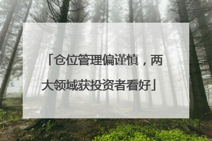 仓位管理偏谨慎，两大领域获投资者看好