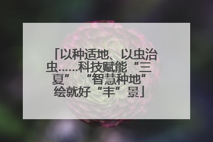 以种适地、以虫治虫……科技赋能“三夏” “智慧种地”绘就好“丰”景
