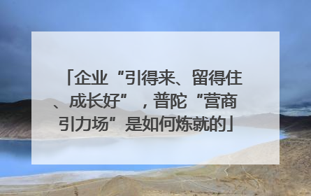 企业“引得来、留得住、成长好”，普陀“营商引力场”是如何炼就的