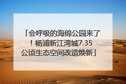会呼吸的海绵公园来了！杨浦新江湾城7.35公顷生态空间改造焕新