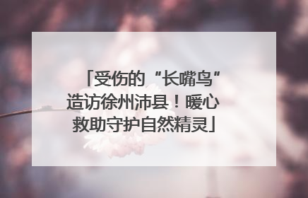受伤的“长嘴鸟”造访徐州沛县！暖心救助守护自然精灵