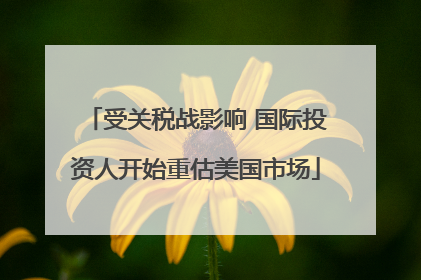 受关税战影响 国际投资人开始重估美国市场