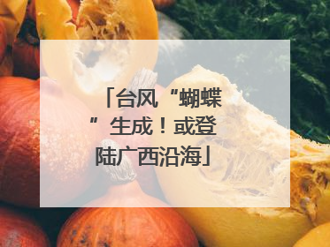 台风“蝴蝶”生成！或登陆广西沿海