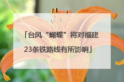 台风“蝴蝶”将对福建23条铁路线有所影响