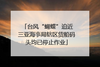 台风“蝴蝶”迫近 三亚海事局辖区货船码头均已停止作业