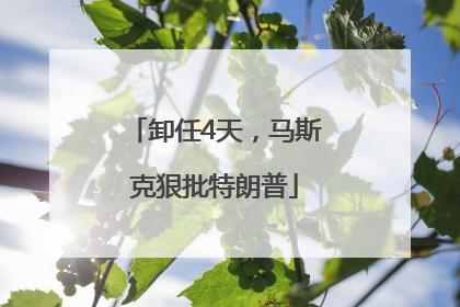 卸任4天，马斯克狠批特朗普