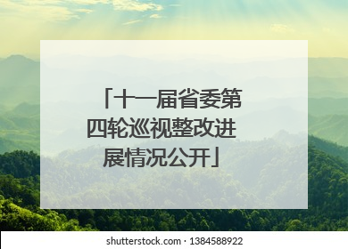 十一届省委第四轮巡视整改进展情况公开