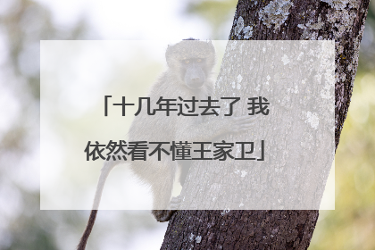 十几年过去了 我依然看不懂王家卫