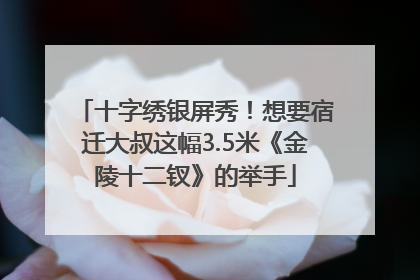 十字绣银屏秀！想要宿迁大叔这幅3.5米《金陵十二钗》的举手