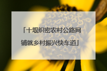 十堰织密农村公路网 铺就乡村振兴快车道
