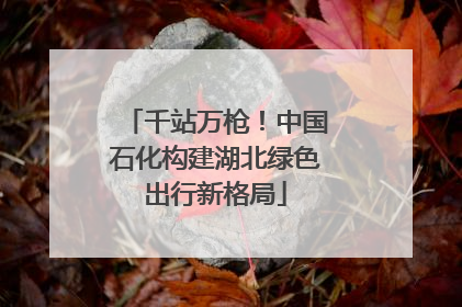千站万枪！中国石化构建湖北绿色出行新格局