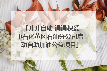 升升自助 涓涓积爱 中石化黄冈石油分公司启动自助加油公益项目