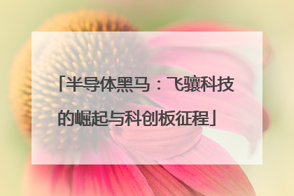 半导体黑马：飞骧科技的崛起与科创板征程