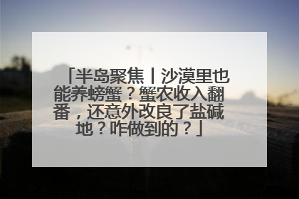 半岛聚焦丨沙漠里也能养螃蟹？蟹农收入翻番，还意外改良了盐碱地？咋做到的？