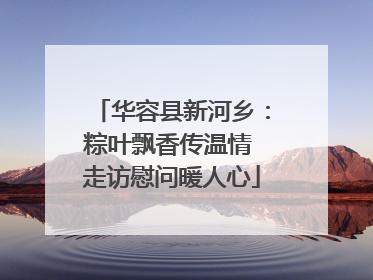 华容县新河乡：粽叶飘香传温情 走访慰问暖人心
