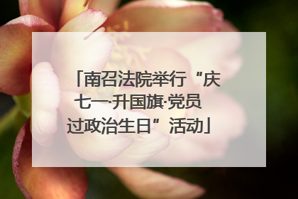 南召法院举行“庆七一·升国旗·党员过政治生日”活动