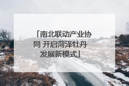 南北联动产业协同 开启菏泽牡丹发展新模式