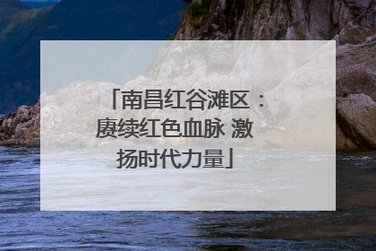 南昌红谷滩区：赓续红色血脉 激扬时代力量