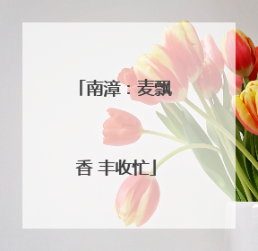 南漳：麦飘香 丰收忙