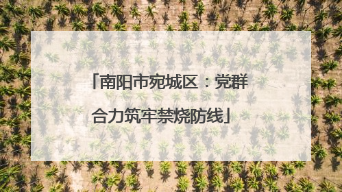 南阳市宛城区：党群合力筑牢禁烧防线