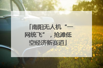 南阳无人机“一网统飞”，抢滩低空经济新赛道