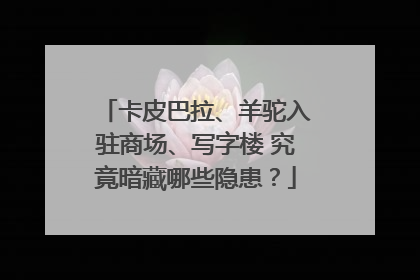 卡皮巴拉、羊驼入驻商场、写字楼 究竟暗藏哪些隐患？