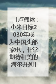 卢伟冰：小米目标2030年成为中国头部家电，非常期待和美的海尔并列