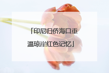 印尼归侨海口重温琼崖红色记忆