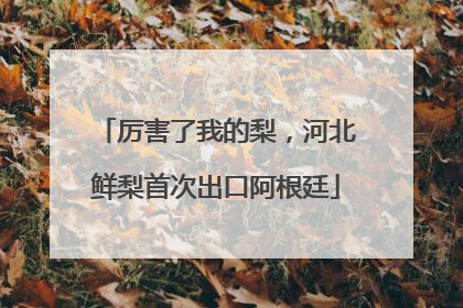 厉害了我的梨，河北鲜梨首次出口阿根廷
