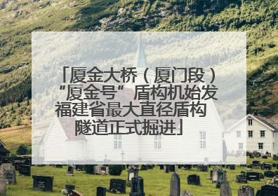 厦金大桥（厦门段）“厦金号”盾构机始发 福建省最大直径盾构隧道正式掘进