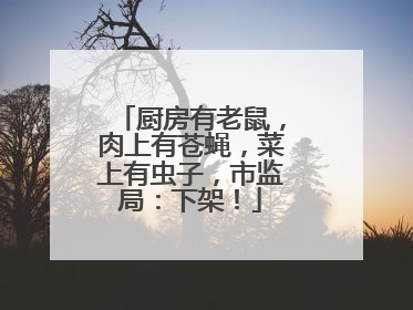 厨房有老鼠，肉上有苍蝇，菜上有虫子，市监局：下架！
