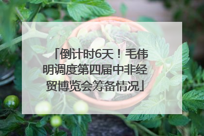 倒计时6天！毛伟明调度第四届中非经贸博览会筹备情况