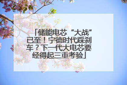 储能电芯“大战”已至！宁德时代踩刹车？下一代大电芯要经得起三重考验