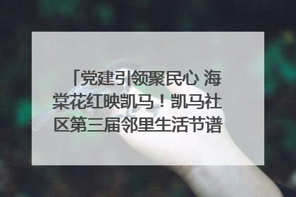 党建引领聚民心 海棠花红映凯马！凯马社区第三届邻里生活节谱写幸福新篇章
