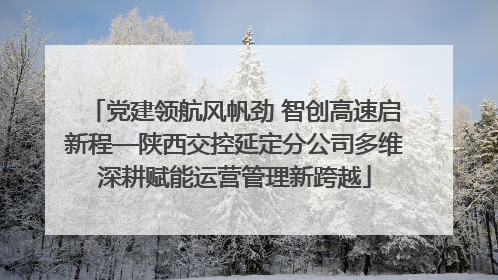 党建领航风帆劲 智创高速启新程—陕西交控延定分公司多维深耕赋能运营管理新跨越
