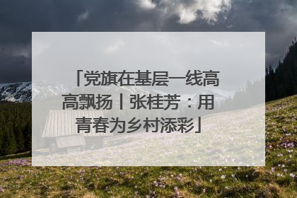 党旗在基层一线高高飘扬丨张桂芳：用青春为乡村添彩