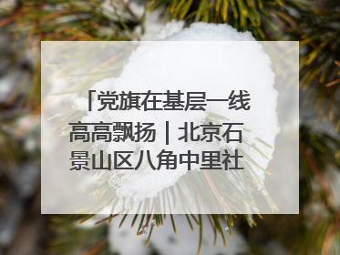 党旗在基层一线高高飘扬｜北京石景山区八角中里社区党委：用脚步丈量民生
