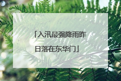 入汛最强降雨昨日落在东华门