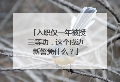 入职仅一年被授三等功，这个戍边新警凭什么？