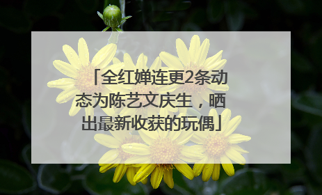 全红婵连更2条动态为陈艺文庆生，晒出最新收获的玩偶