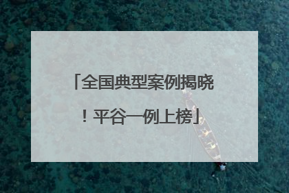 全国典型案例揭晓！平谷一例上榜