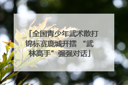全国青少年武术散打锦标赛鹿城开擂 “武林高手”强强对话
