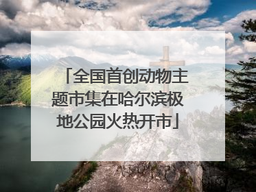 全国首创动物主题市集在哈尔滨极地公园火热开市