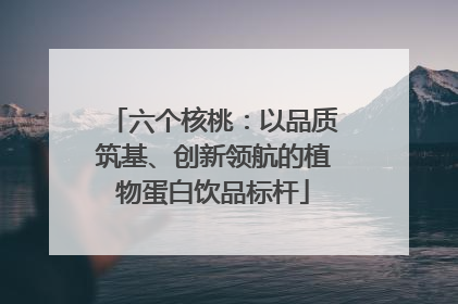 六个核桃：以品质筑基、创新领航的植物蛋白饮品标杆
