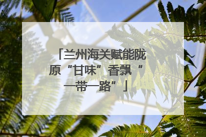 兰州海关赋能陇原“甘味”香飘“一带一路”